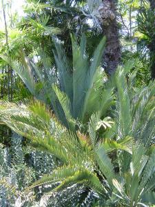 post-27-053498400 1311659771_thumb.jpg