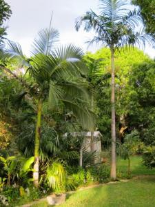 post-275-071121000 1332115569_thumb.jpg