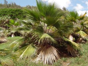 post-279-004297700 1328724177_thumb.jpg