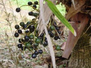 post-279-012968600 1328724714_thumb.jpg