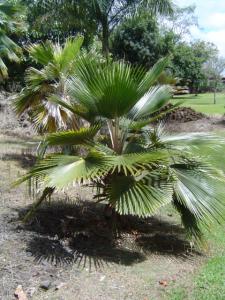 post-279-037060500 1328724671_thumb.jpg