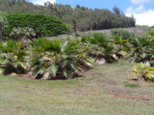 post-279-060465200 1328724208_thumb.jpg