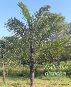 post-280-017641900 1323382057_thumb.jpg