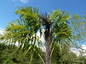 post-280-030720000 1323382110_thumb.jpg