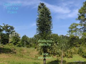 post-280-054977300 1323382075_thumb.jpg