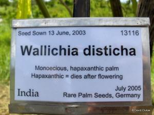 post-280-092561300 1323382088_thumb.jpg