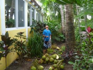 post-2997-0-00380200-1372717294_thumb.jp