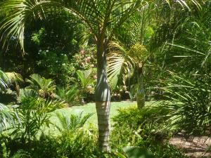 post-2997-0-04438300-1437326521_thumb.jp