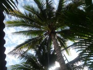 post-2997-0-19179100-1372717186_thumb.jp