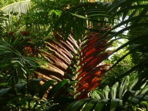 post-2997-0-21397800-1380207287_thumb.jp