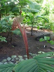 post-2997-0-77269800-1380207077_thumb.jp