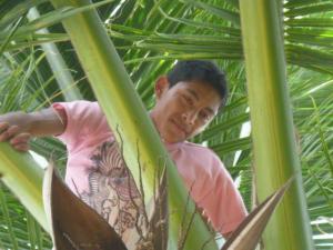 post-2997-0-87969600-1372717245_thumb.jp