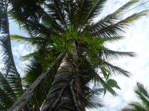 post-2997-0-99248100-1372775388_thumb.jp