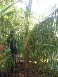 post-3008-0-73345000-1417299146_thumb.jp