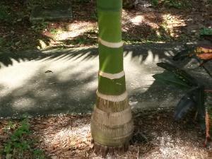 post-3028-0-02923800-1409572381_thumb.jp