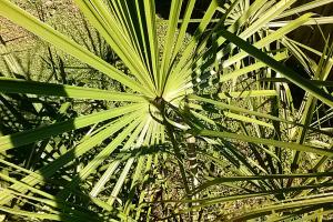 post-3028-0-03422200-1380813167_thumb.jp