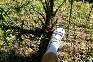 post-3028-0-07901900-1380813193_thumb.jp