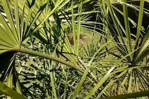 post-3028-0-10946900-1380812942_thumb.jp