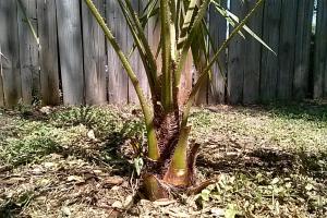 post-3028-0-11728600-1362770658_thumb.jp