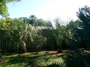 post-3028-0-17376200-1426517429_thumb.jp