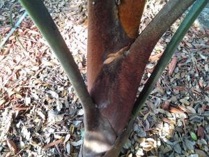 post-3028-0-41403600-1367437251_thumb.jp