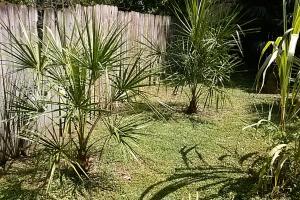 post-3028-0-62114300-1380740612_thumb.jp