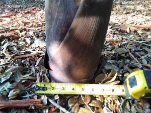 post-3028-0-64137500-1367437194_thumb.jp