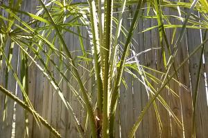 post-3028-0-71760300-1380813178_thumb.jp