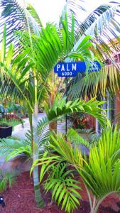 post-3040-0-24209700-1383694612_thumb.jp