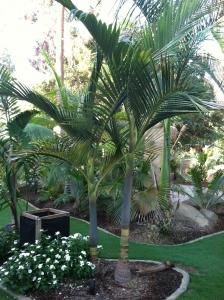 post-3040-0-39545000-1348243742_thumb.jp