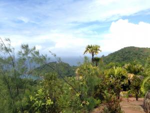 post-3101-0-00116500-1440168965_thumb.jp