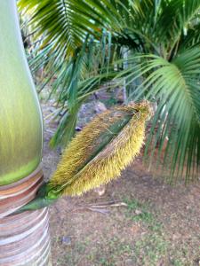 post-3101-0-00864800-1439745027_thumb.jp