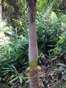 post-3101-0-01286000-1439745428_thumb.jp