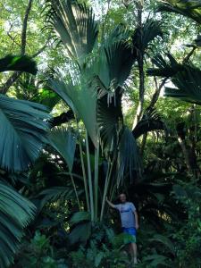 post-3101-0-01421000-1439745156_thumb.jp