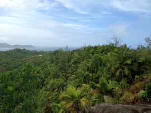 post-3101-0-03589000-1440169160_thumb.jp