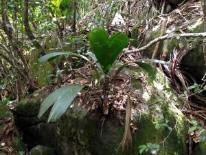 post-3101-0-03604400-1439744068_thumb.jp