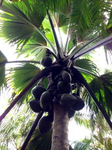 post-3101-0-04950400-1440167213_thumb.jp