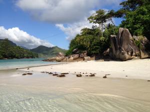 post-3101-0-07881500-1440169720_thumb.jp