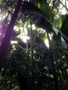 post-3101-0-10974800-1440166964_thumb.jp