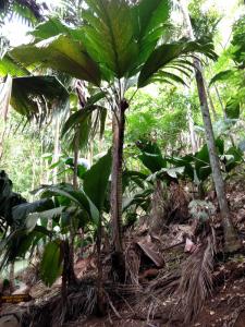 post-3101-0-12015000-1440167098_thumb.jp