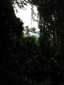 post-3101-0-14768800-1439743537_thumb.jp