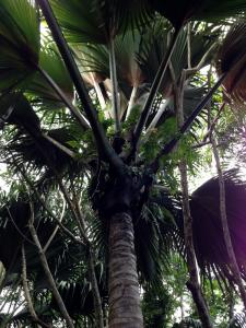 post-3101-0-16578700-1440166149_thumb.jp