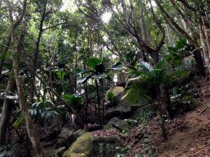 post-3101-0-17803400-1439744600_thumb.jp