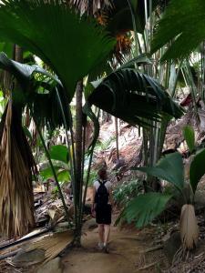 post-3101-0-18612100-1440167464_thumb.jp