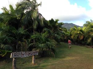 post-3101-0-26668100-1439744936_thumb.jp