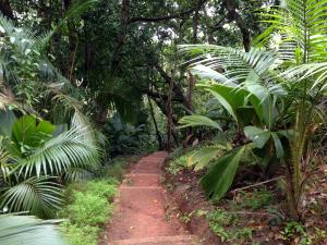 post-3101-0-33266300-1440167927_thumb.jp