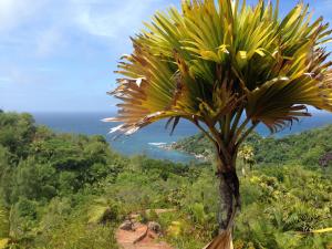 post-3101-0-39296400-1440169288_thumb.jp