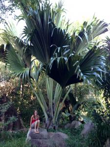 post-3101-0-39723700-1439745184_thumb.jp