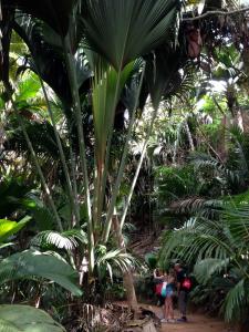 post-3101-0-43221300-1440166706_thumb.jp