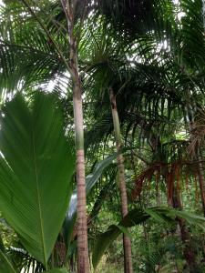 post-3101-0-43637400-1440167525_thumb.jp